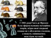 У 1901 році Гюго де Фризом була сформульована мутаційна теорія, згідно якої с...