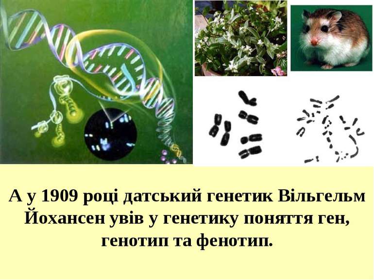 А у 1909 році датський генетик Вільгельм Йохансен увів у генетику поняття ген...