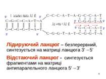 * 5′ 3′ 5′ 3′ 3′ 5′ 5′ 3′ Лідируючий ланцюг – безперервний, синтезується на м...