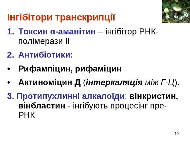 * Інгібітори транскрипції Токсин α-аманітин – інгібітор РНК-полімерази ІІ Ант...