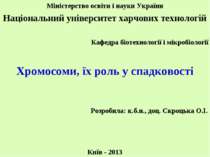 Хромосоми, їх роль у спадковості Міністерство освіти і науки України Націонал...