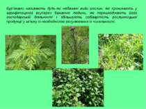 Бур’янами називають будь-які небажані види рослин, які проникають у агрофітоц...