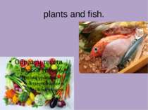 plants and fish.