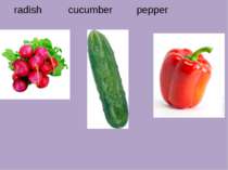 radish cucumber pepper