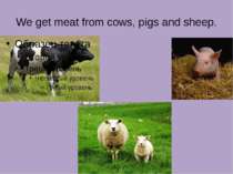 We get meat from cows, pigs and sheep.
