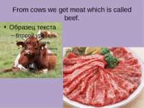 From cows we get meat which is called beef.