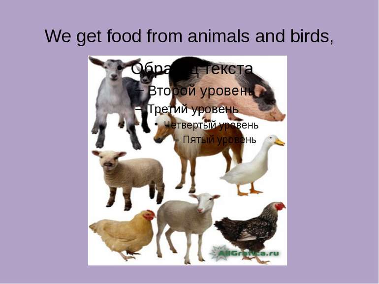 We get food from animals and birds,