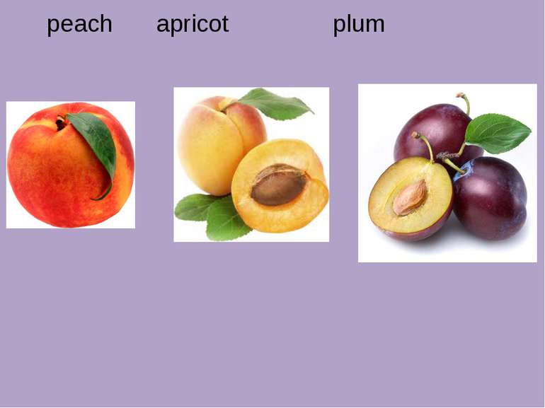 peach apricot plum