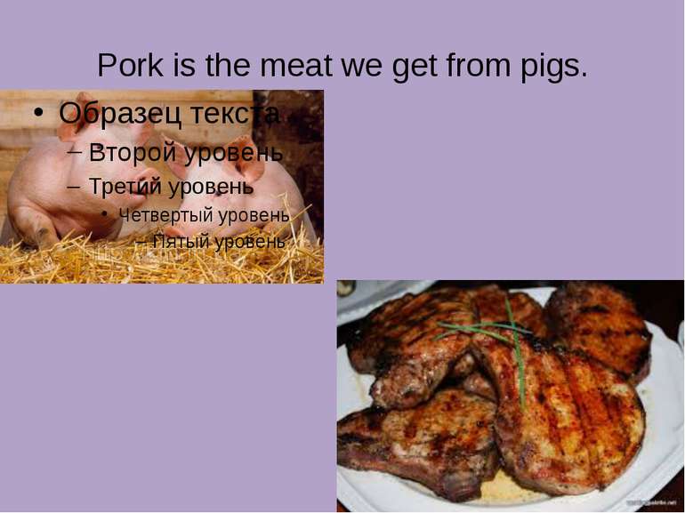 Pork is the meat we get from pigs.