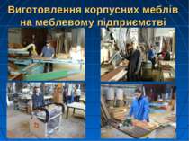 Виготовлення корпусних меблів на меблевому підприємстві