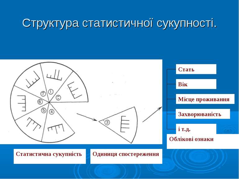 Структура статистичної сукупності.