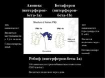 Авонекс (интерферон-бета-1а) Бетаферон (интерферон-бета-1b) 165 аминокислот (...
