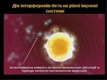 Дія інтерферонів-бета на рівні імунної системи Бетаінтерферони знижують експр...