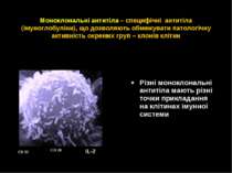Моноклональні антитіла – специфічні антитіла (імуноглобуліни), що дозволяють ...