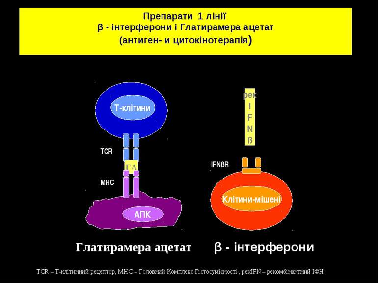 ГА TCR MHC Клітини-мішені рек I F N ß IFNßR Глатирамера ацетат Препарати 1 лі...