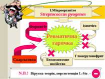 N.B.! Вірусна теорія, персистенція L-Str. - І.Мікроорганізм Streptococcus pyo...