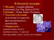 Етіологія холери Збудник – холерні вібріони (класичний, Ель-Тор, Бенгал О139)...