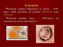 Етіологія Збудник гарячок Марбурга та Ебола – РНК-вірус, який належить до род...