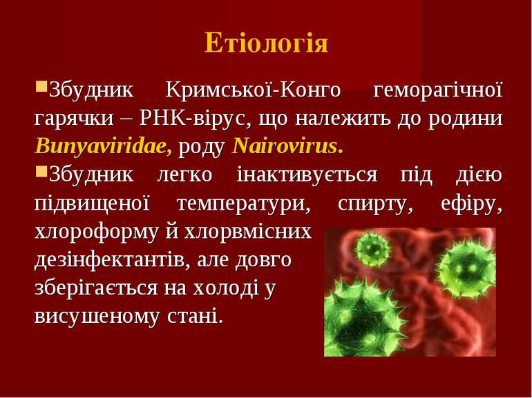 Етіологія Збудник Кримської-Конго геморагічної гарячки – РНК-вірус, що належи...