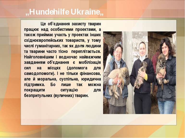 „Hundehilfe Ukraine„ Це об’єднання захисту тварин працює над особистими проек...