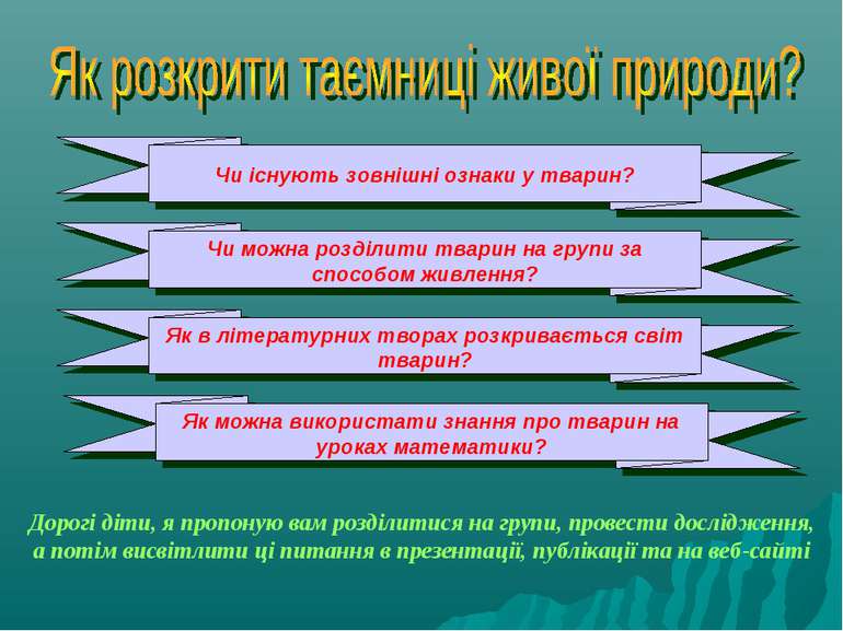 Чи існують зовнішні ознаки у тварин? Чи можна розділити тварин на групи за сп...