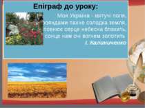 Епіграф до уроку: Моя Україна - квітучі поля, Трояндами пахне солодка земля, ...