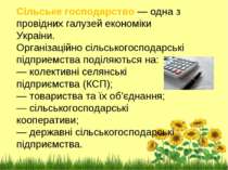 Сiльське господарство — одна з провiдних галузей економiки Украiни. Органiзац...
