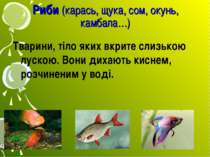 Риби (карась, щука, сом, окунь, камбала…) Тварини, тіло яких вкрите слизькою ...