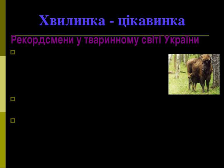 Хвилинка - цікавинка Рекордсмени у тваринному світі України Найбільшим звіром...