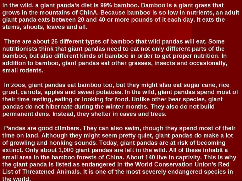In the wild, a giant panda’s diet is 99% bamboo. Bamboo is a giant grass that...