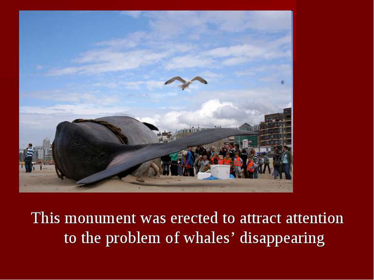 This monument was erected to attract attention to the problem of whales’ disa...