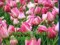 « Весна підніме келихи тюльпанів…»