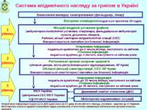 Система епідемічного нагляду за грипом в Україні Виявлення випадку захворюван...