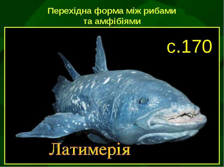Перехідна форма між рибами та амфібіями с.170