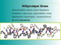 Фібрилярні білки ниткоподібні, мають лише виражену вторинну структуру, нерозч...