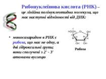 Рибонуклеїнова кислота (РНК) – це лінійна полінуклеотидна молекула, що має на...