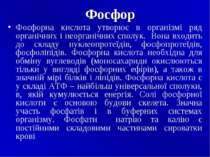 Фосфор Фосфорна кислота утворює в організмі ряд органічних i неорганічних спо...