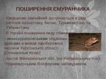 Ємуранчик звичайний зустрічається в ряді регіонів Казахстану, Китаю, Туркмені...