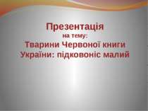 Тварини Червоної книги України: підковоніс малий