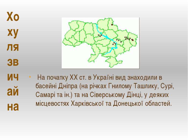 На початку ХХ ст. в Україні вид знаходили в басейні Дніпра (на річках Гнилому...
