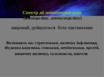 . Спектр дії амінопеніцилінів  (ампіциліну, амоксициліну) широкий, руйнуються...