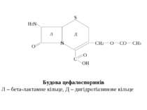 Будова цефалоспоринів Л – бета-лактамне кільце, Д – дигідротіазинове кільце C...