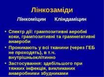 Лінкозаміди Лінкоміцин Кліндаміцин Спектр дії: грампозитивні аеробні коки, гр...