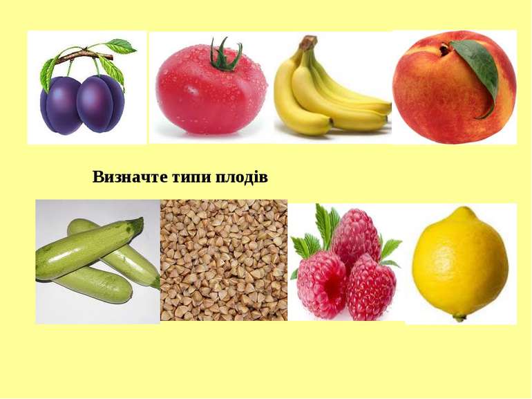Визначте типи плодів