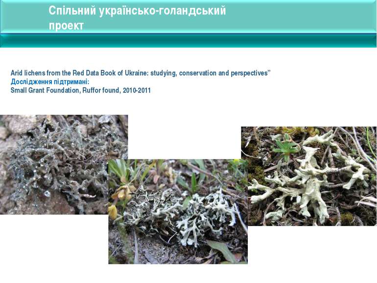 Arid lichens from the Red Data Book of Ukraine: studying, conservation and pe...