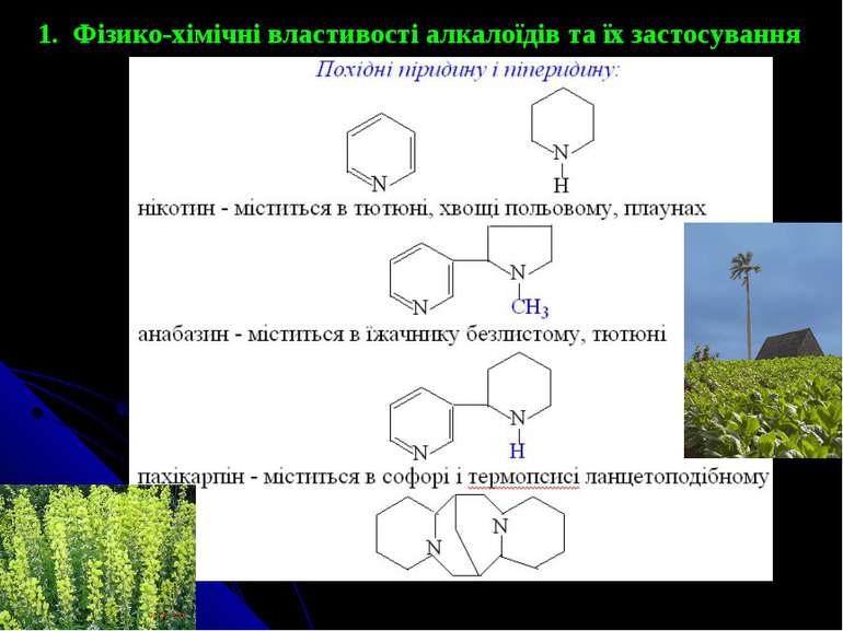 1. Фізико-хімічні властивості алкалоїдів та їх застосування