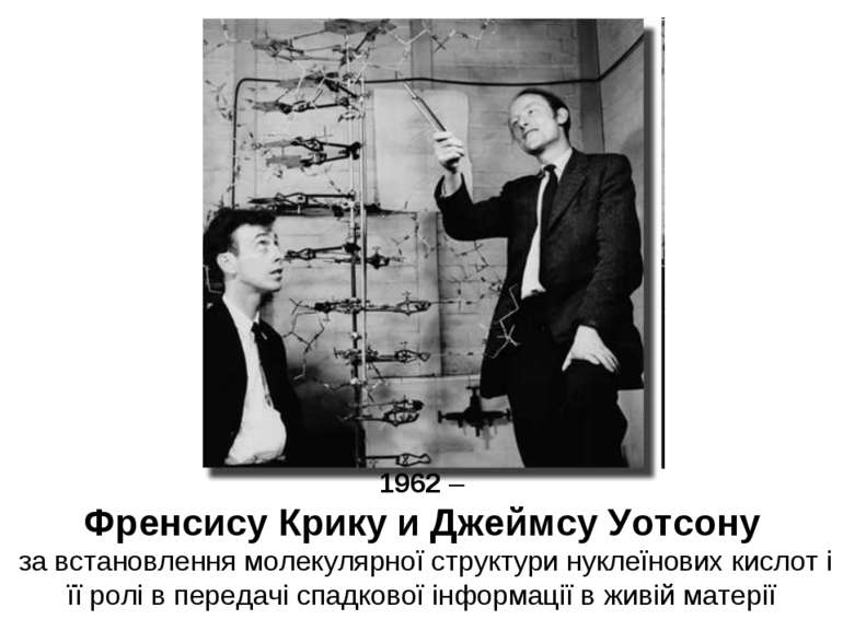 1962 – Френсису Крику и Джеймсу Уотсону за встановлення молекулярної структур...