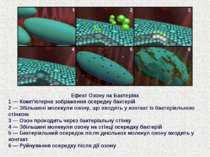 Ефект Озону на Бактеріях 1 ― Комп'ютерне зображення осередку бактерій 2 ― Збі...