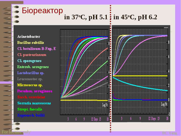 in 37oC, pH 5.1 ; in 45oC, pH 6.2 Біореактор BC Yang For lecture only
