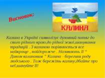 Висновок: Калина в Україні символізує духовний потяг до свого рідного краю,до...